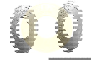 4 in. IPS Brass AUTO SPRK Fire Department Connection Sign